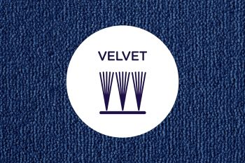Cross section of cut yarns in a velvet carpet on a neutral carpet background
